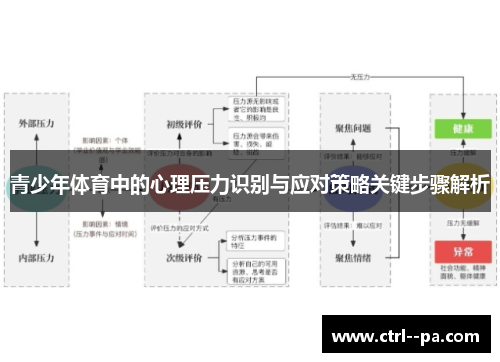 青少年体育中的心理压力识别与应对策略关键步骤解析 青少年体育中的心理压力识别与应对策略关键步骤解析